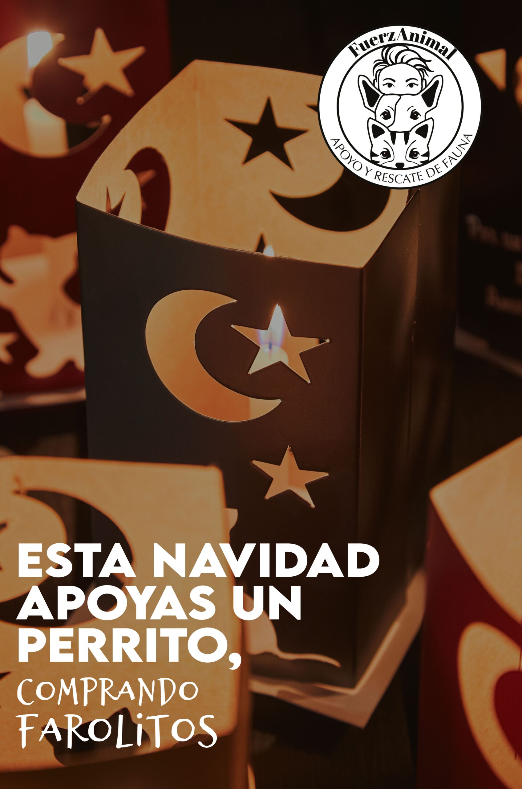 Kit de Farolitos por los Animales